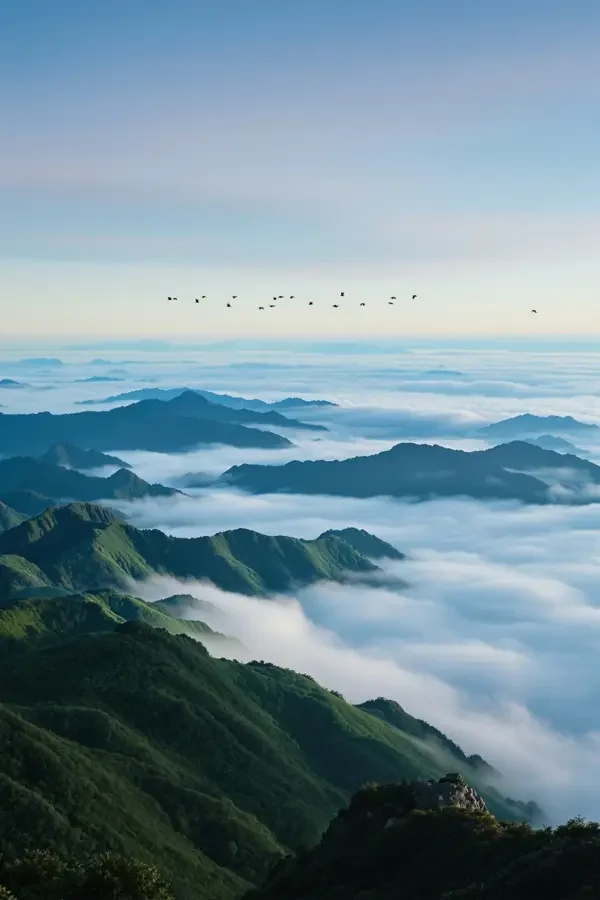 山间晨曲 电影封面